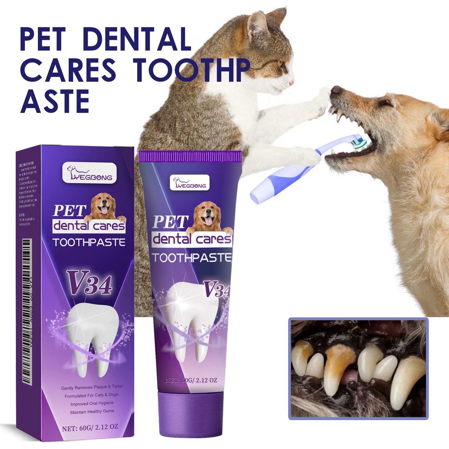 Pet V34 Toothpaste