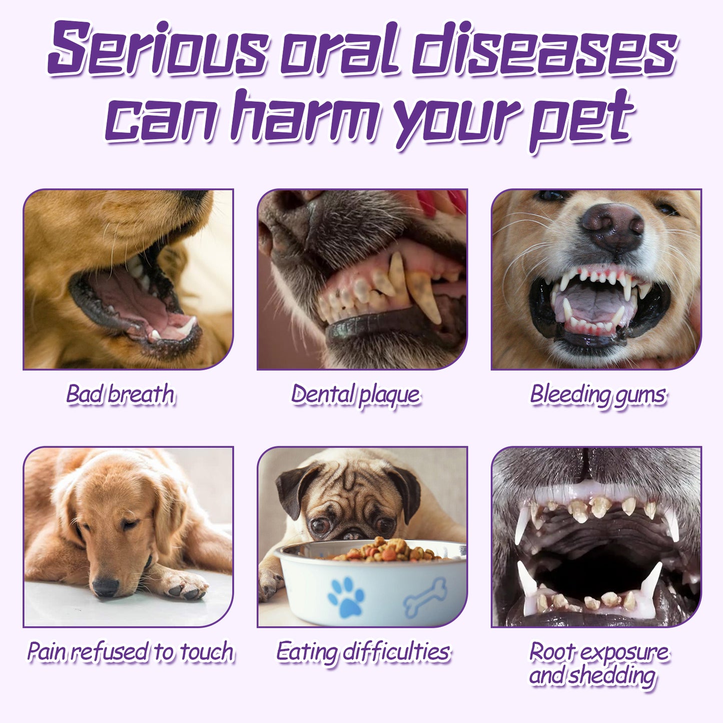 Pet Toothbrush For Dogs