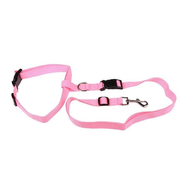 Dog Running leash