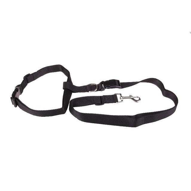 Dog Running leash