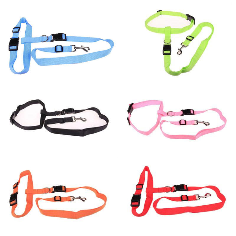 Dog Running leash