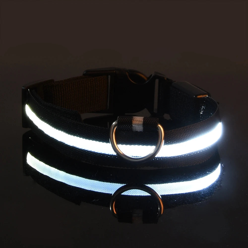 Neon LED Light-Up Dog Collar
