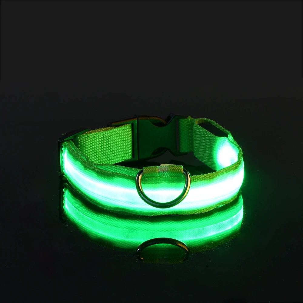 Neon LED Light-Up Dog Collar