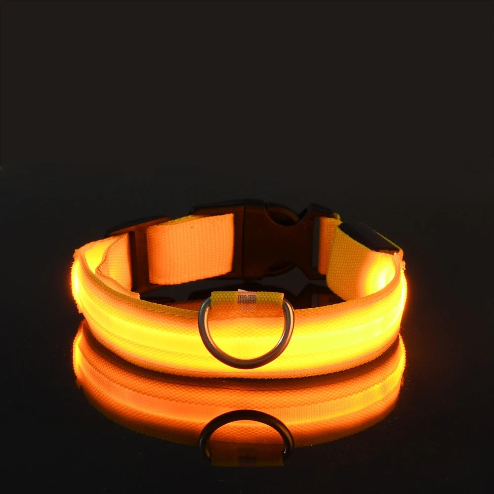 Neon LED Light-Up Dog Collar