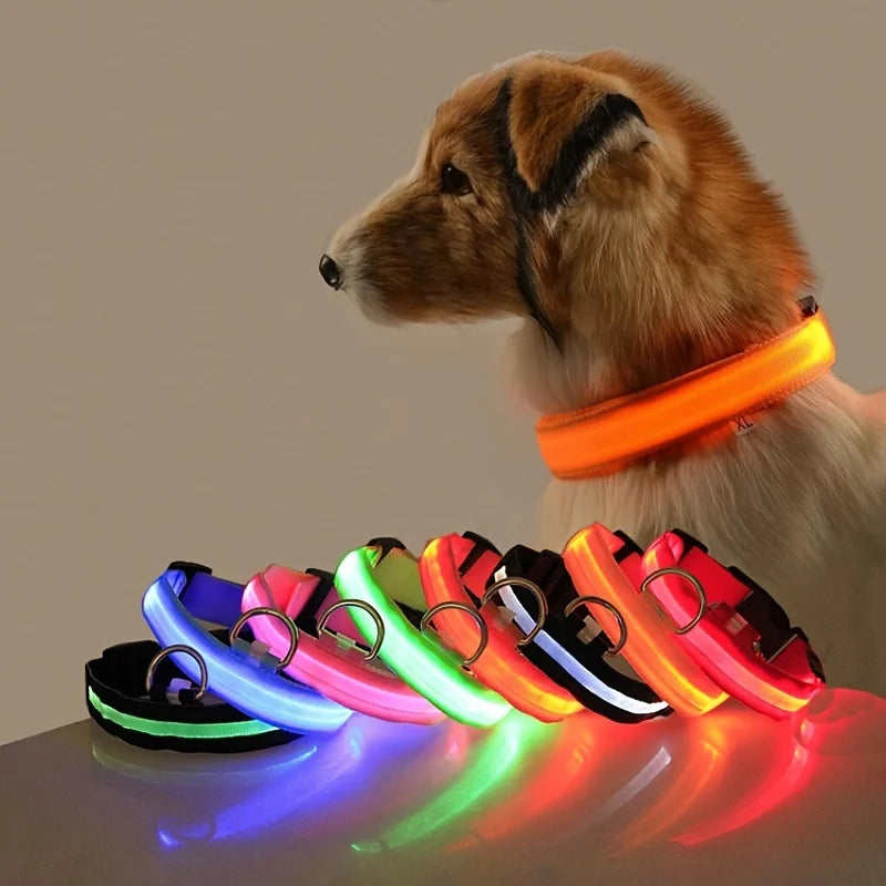 Neon LED Light-Up Dog Collar