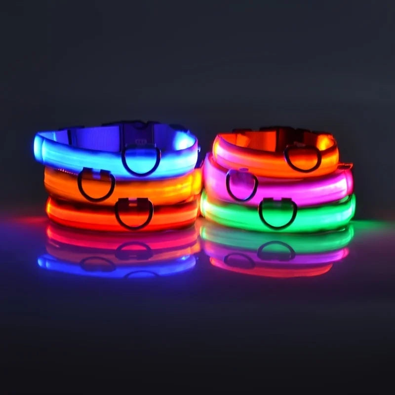 Neon LED Light-Up Dog Collar