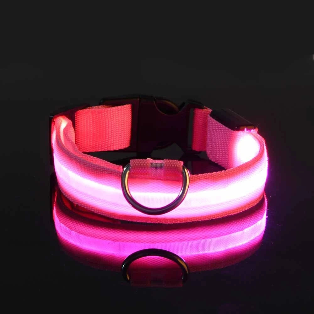 Neon LED Light-Up Dog Collar