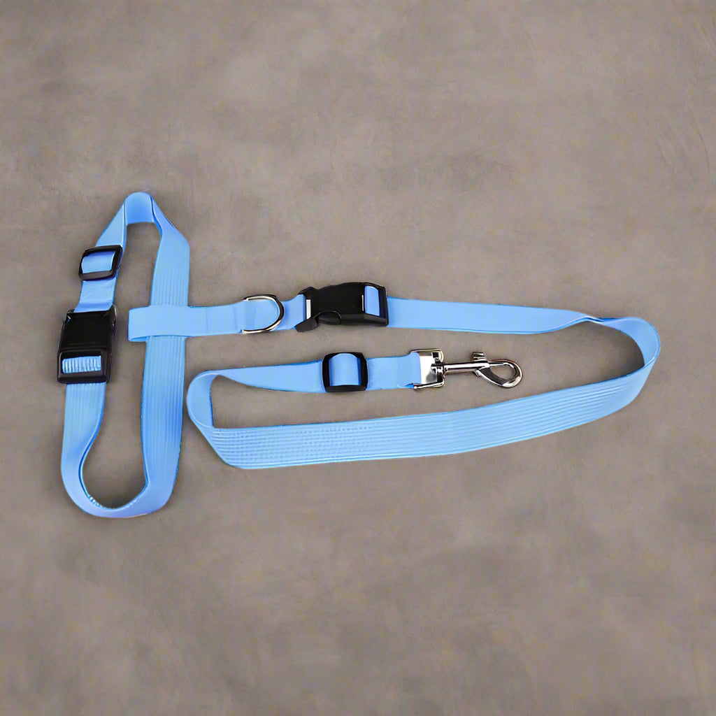 Dog Running leash