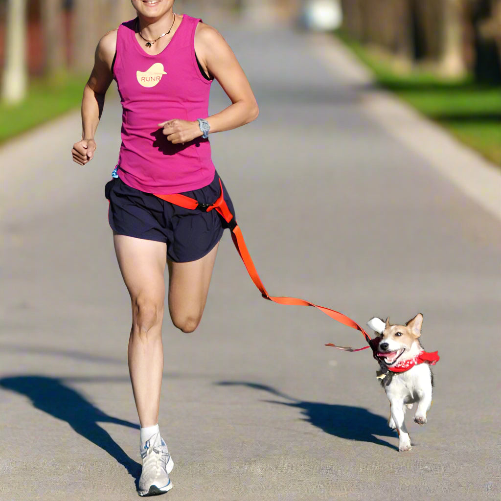 Dog Running leash