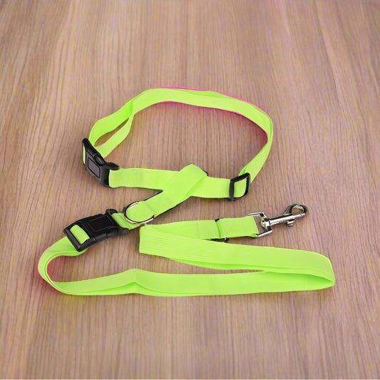 Dog Running leash