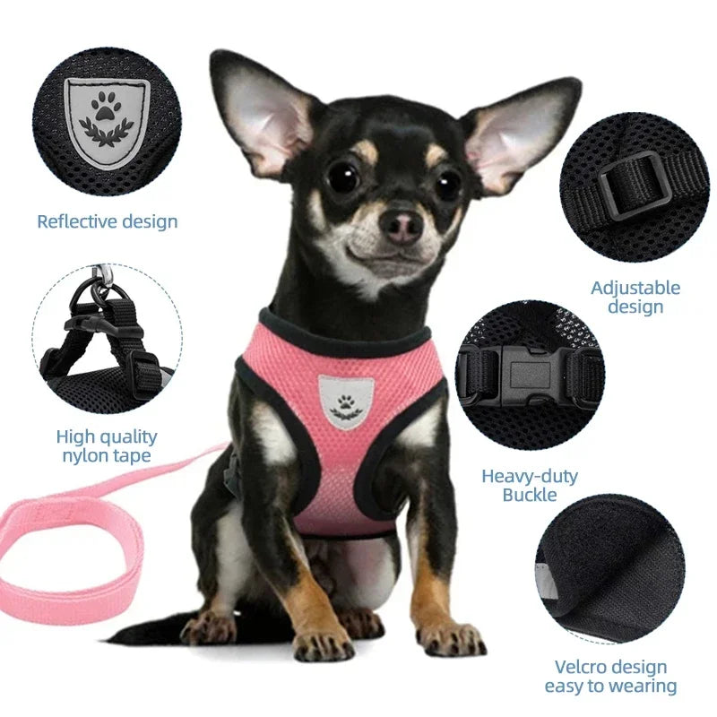 Adjustable Walking Vest for Small & Medium Pets