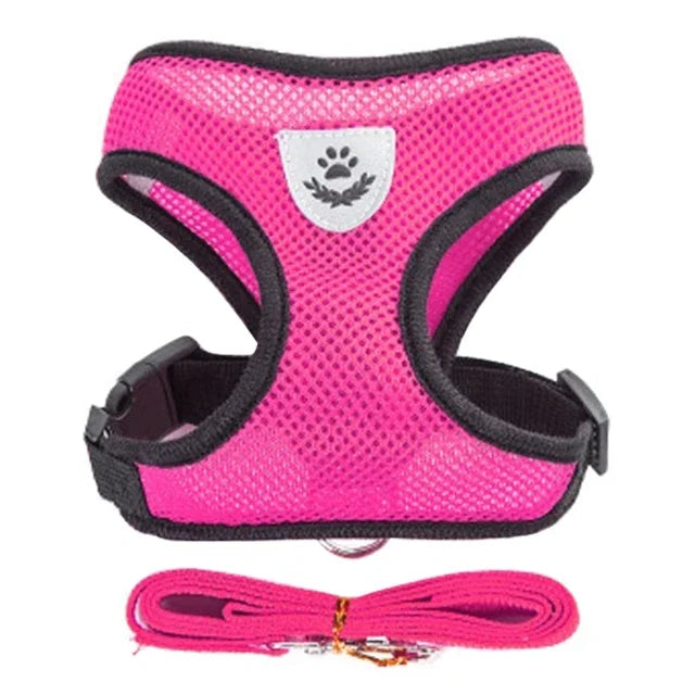 Adjustable Walking Vest for Small & Medium Pets