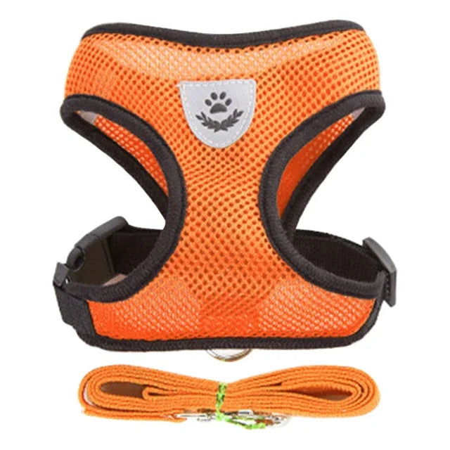 Adjustable Walking Vest for Small & Medium Pets