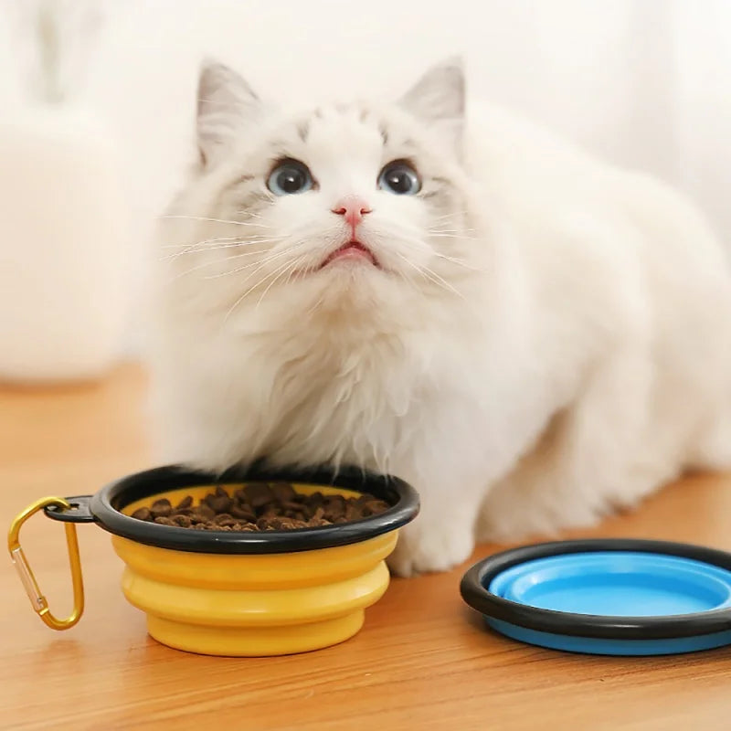 Portable Collapsible Pet Bowl with Keychain