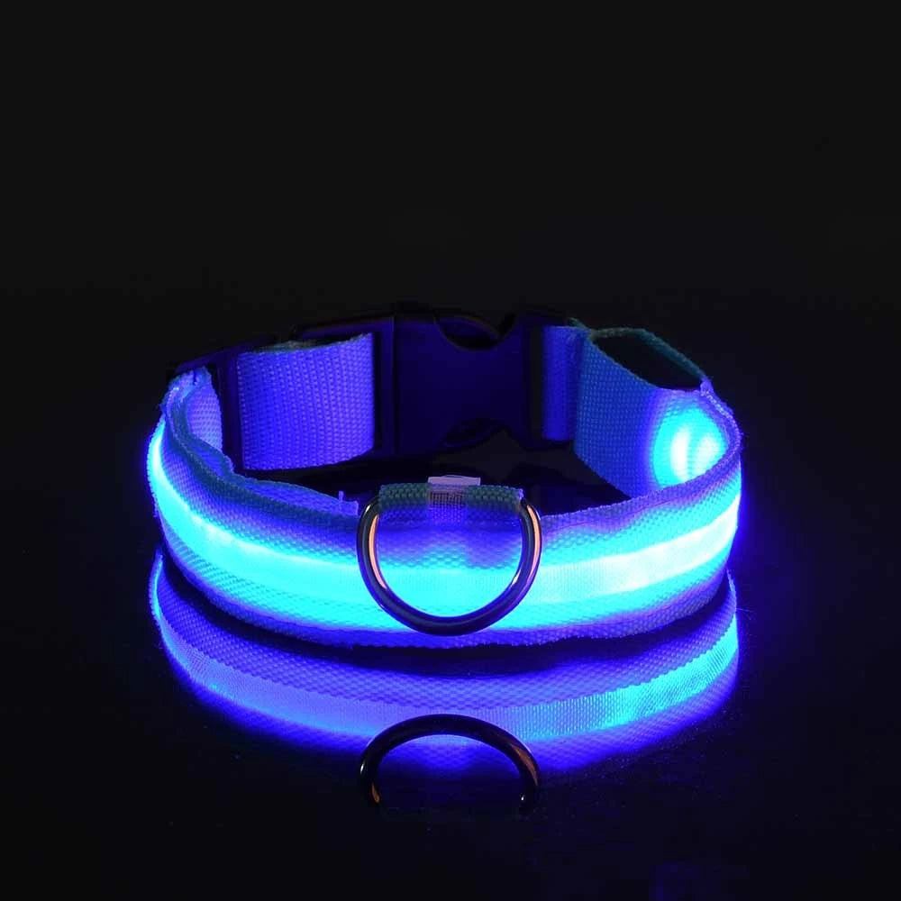 Neon LED Light-Up Dog Collar