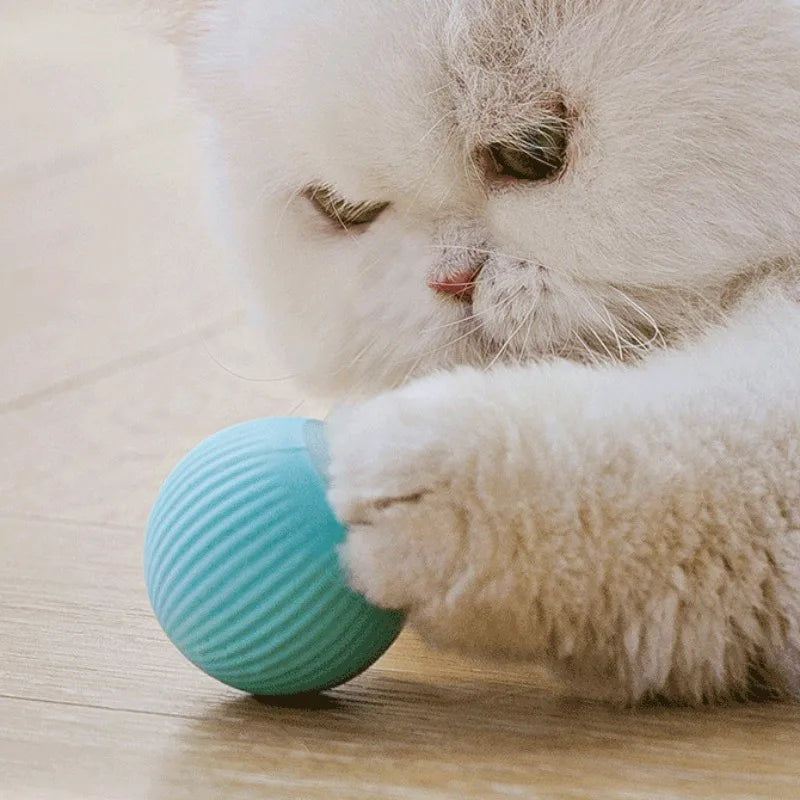 Smart Interactive Cat Ball - Automatic Rolling Magic Toy for Indoor Cats