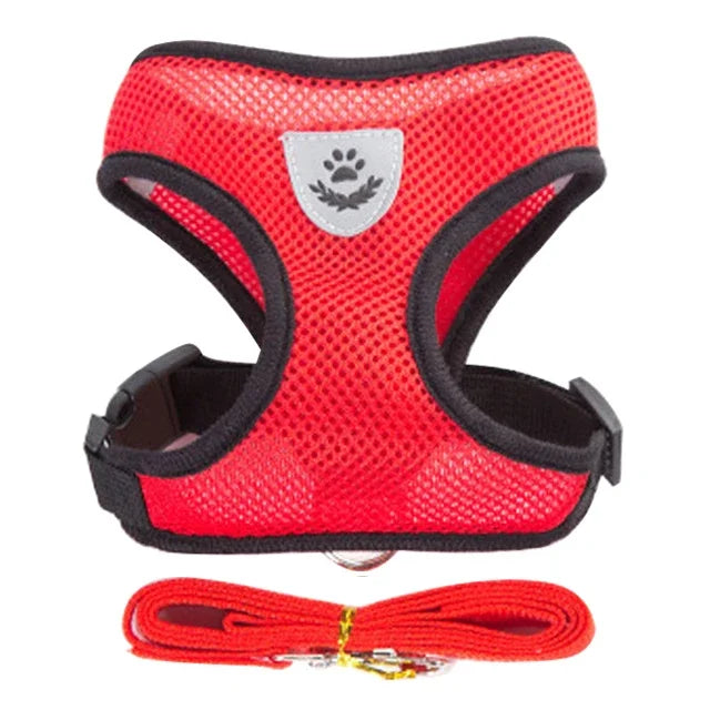 Adjustable Walking Vest for Small & Medium Pets