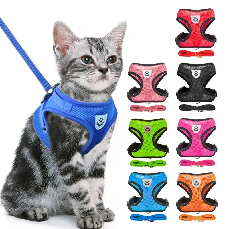 Adjustable Walking Vest for Small & Medium Pets