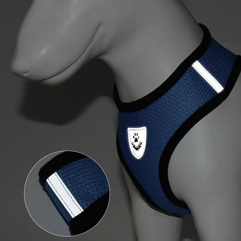 Adjustable Mesh Harness Vest with Leash