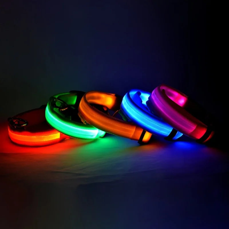 Neon LED Light-Up Dog Collar