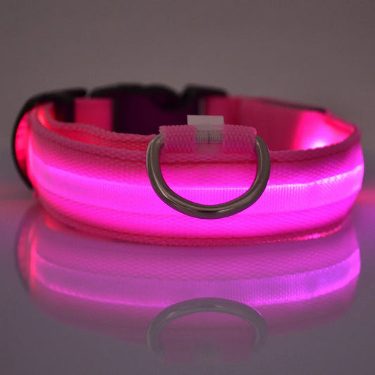 Neon LED Light-Up Dog Collar