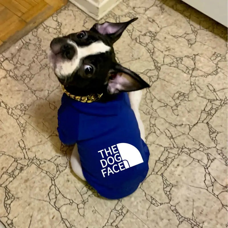 Pet Dog Hoodie - Autumn/Winter Jacket