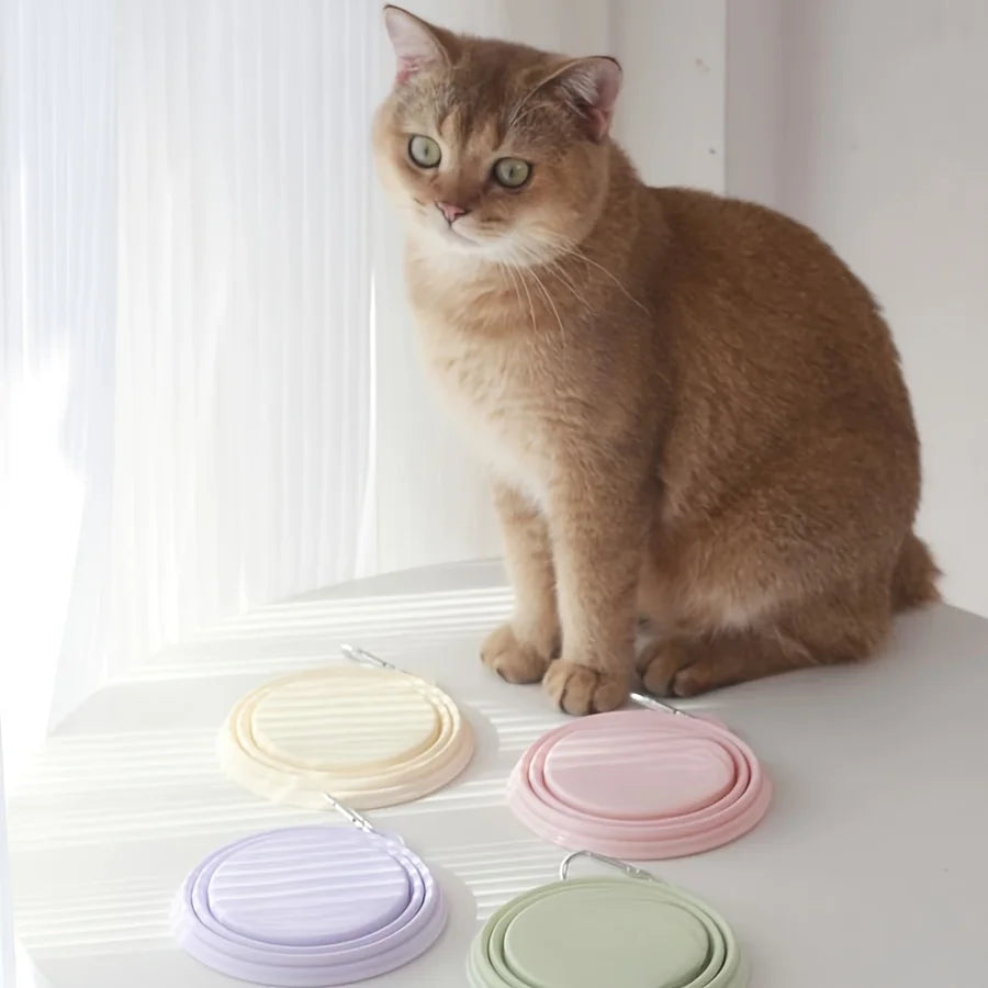 Pet Folding Silicone Bowl - Portable Outdoor Travel Food & Water Container