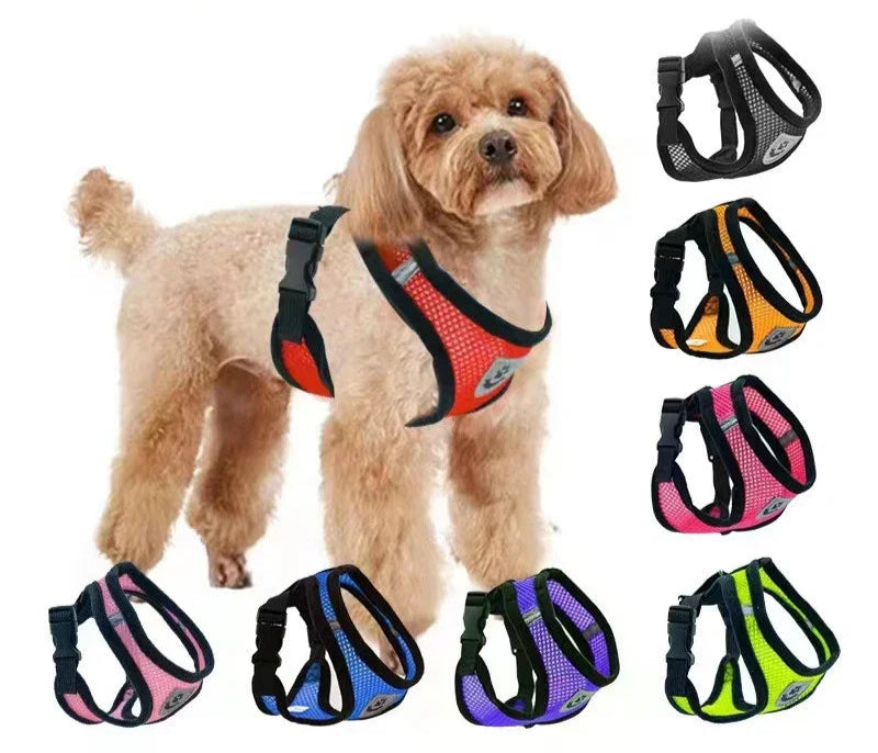 Adjustable Mesh Harness Vest with Leash