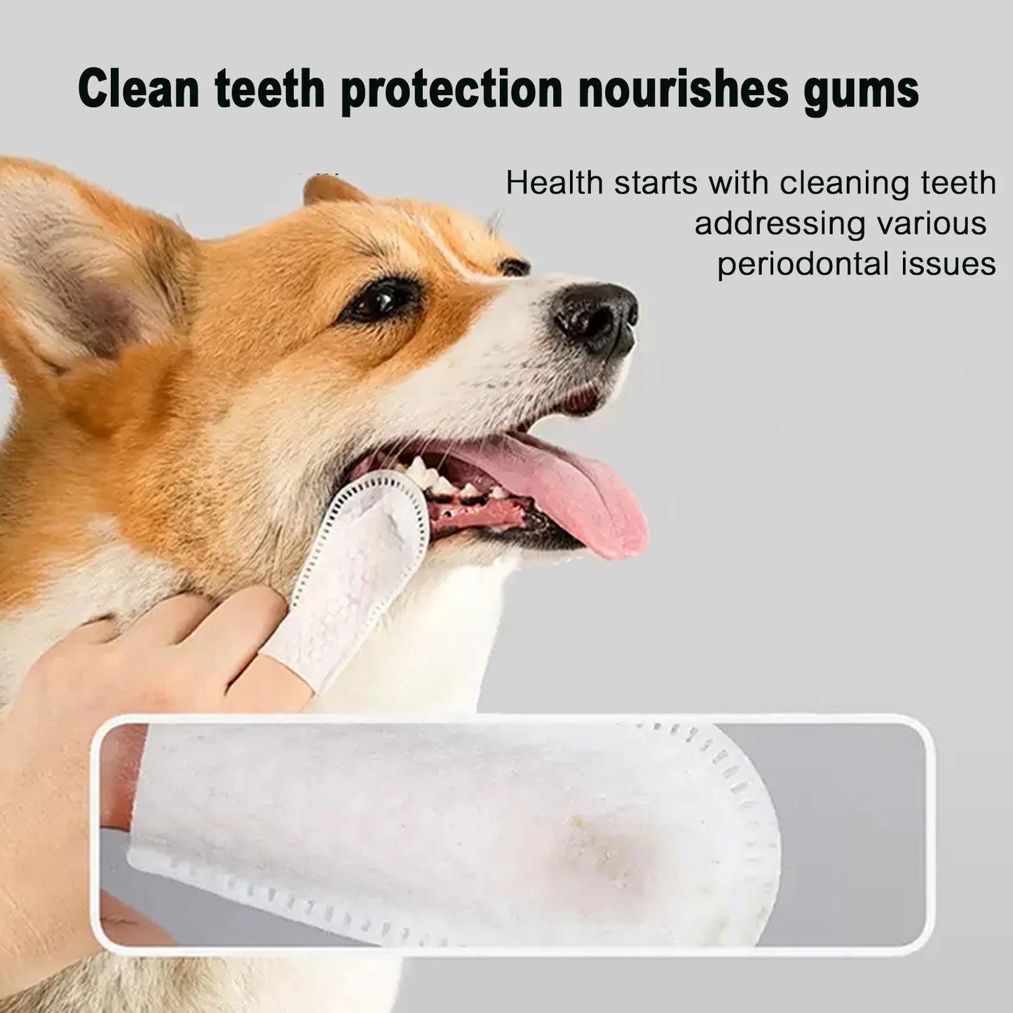 PetSmile Dental Finger Wipes: Easy Teeth Cleaning for Dogs & Cats