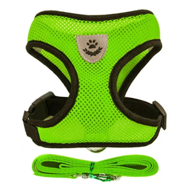 Adjustable Walking Vest for Small & Medium Pets