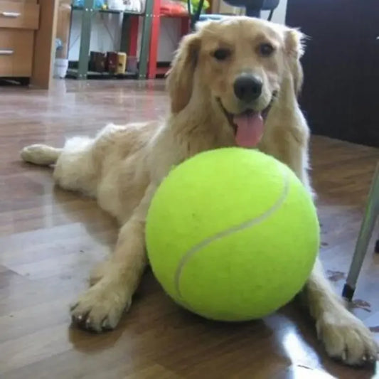 MegaBounce Giant Tennis Ball for Dogs – Chewing & Training Toy