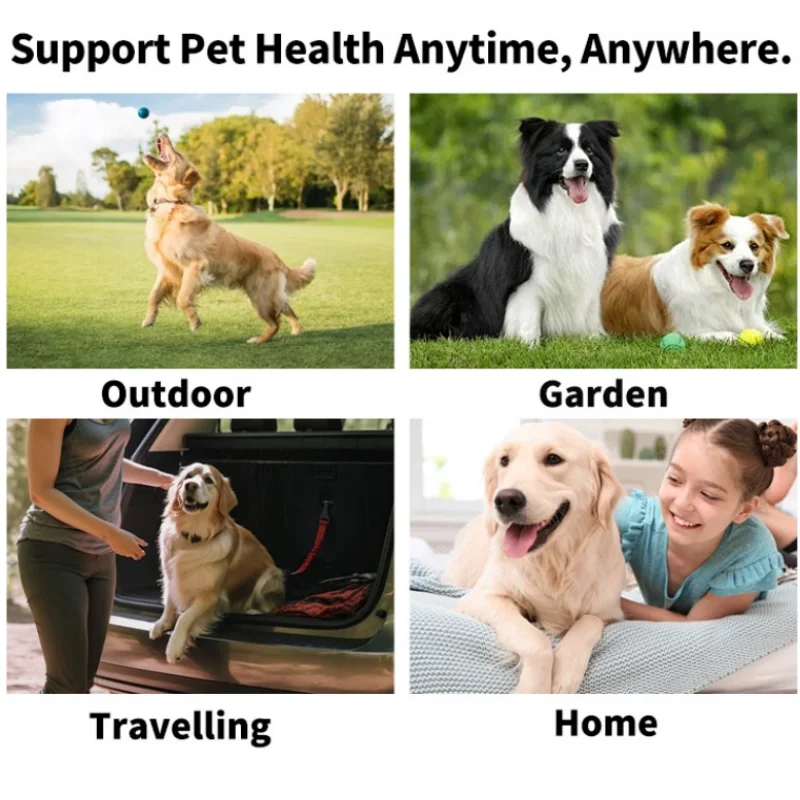 PetGlow Eye Wipes: Tear Stain & Discharge Remover for Dogs & Cats