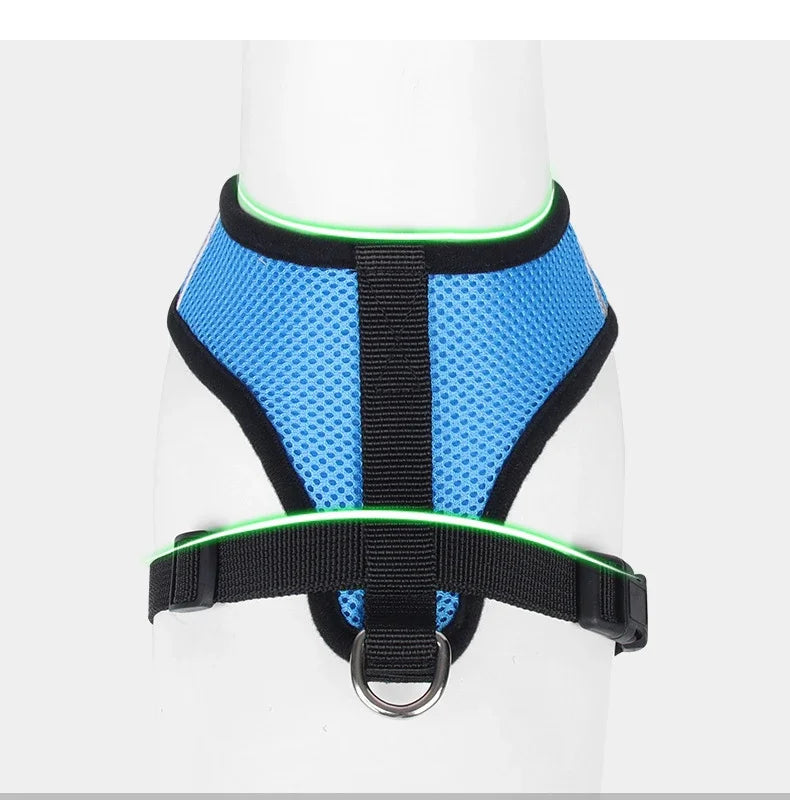 Adjustable Mesh Harness Vest with Leash