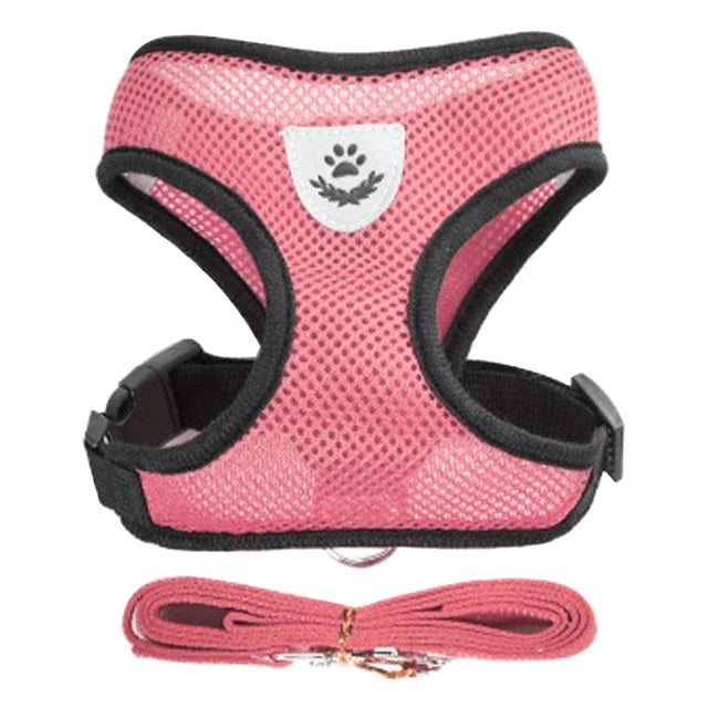 Adjustable Walking Vest for Small & Medium Pets