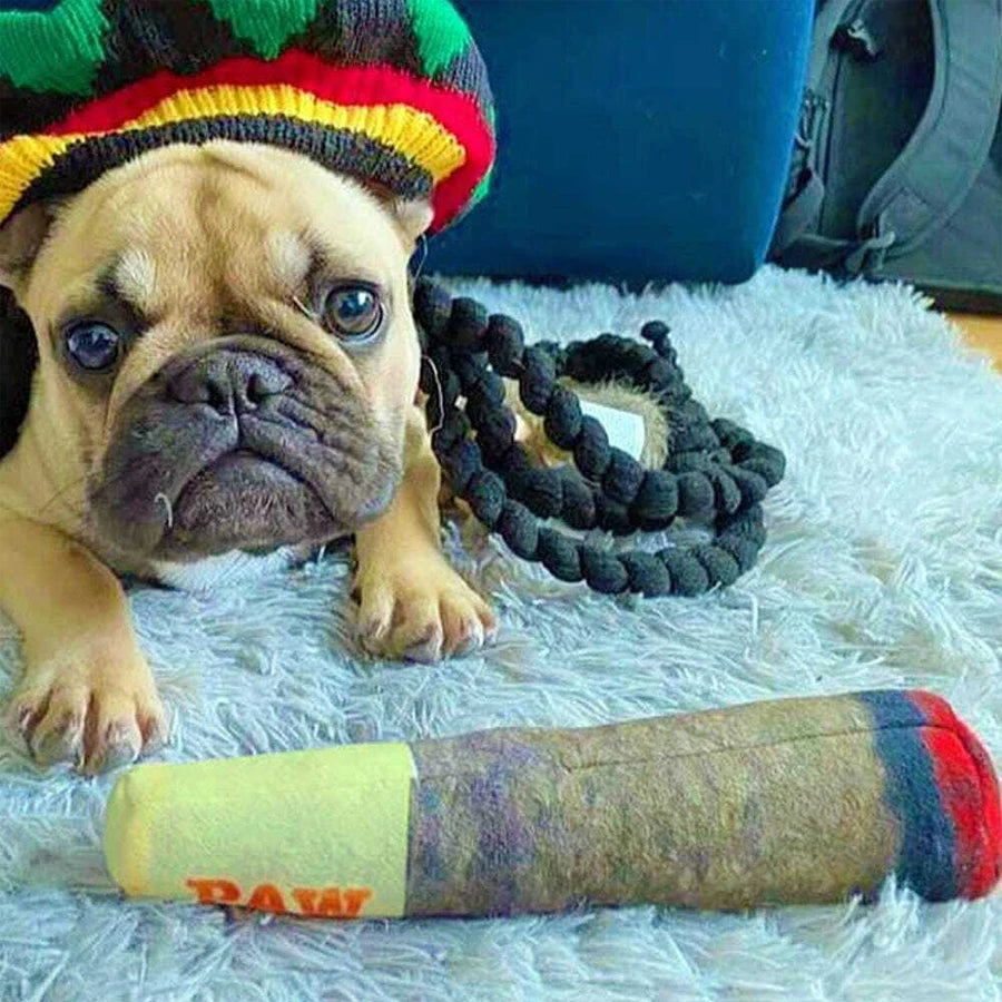 Funny Cigar Plush Dog Toy - Squeaky Interactive Chew